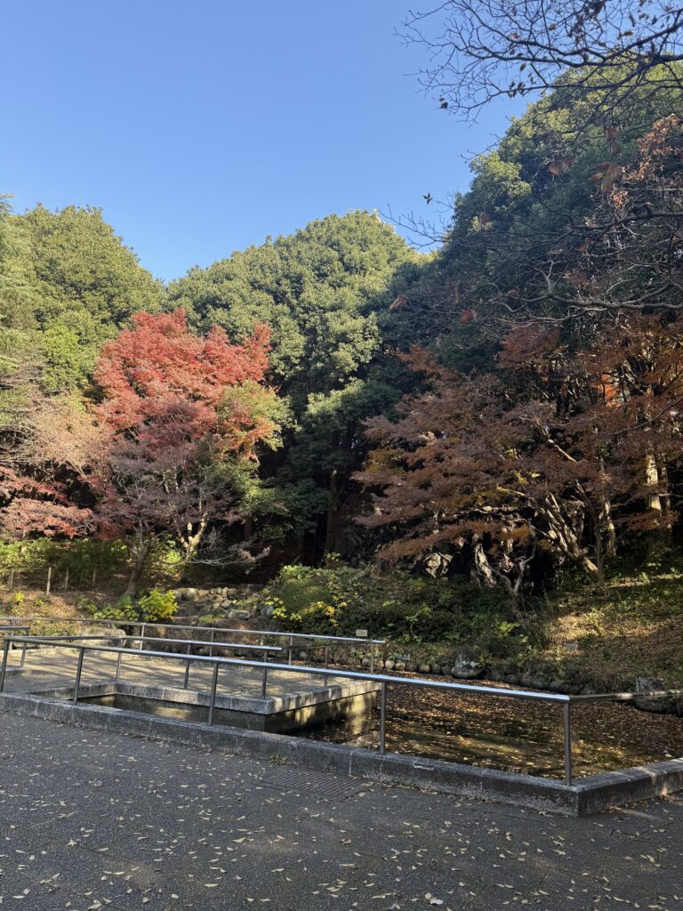 散歩日和【日山晃志】のメイン画像