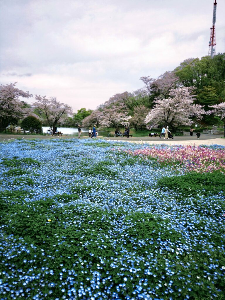 さんぽ【日山晃志】のメイン画像